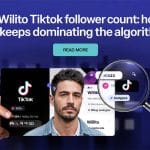 Willito TikTok Follower Count