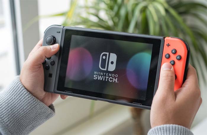 nintendo switch travel case